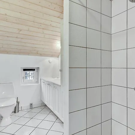 Feriehus Holiday Brunbjergvej Ringkøbing Ix